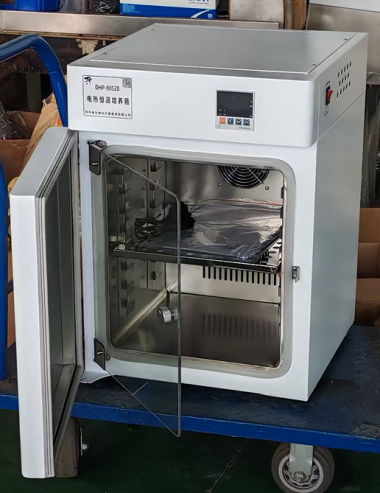 DHP-9902立式电热恒温培养箱